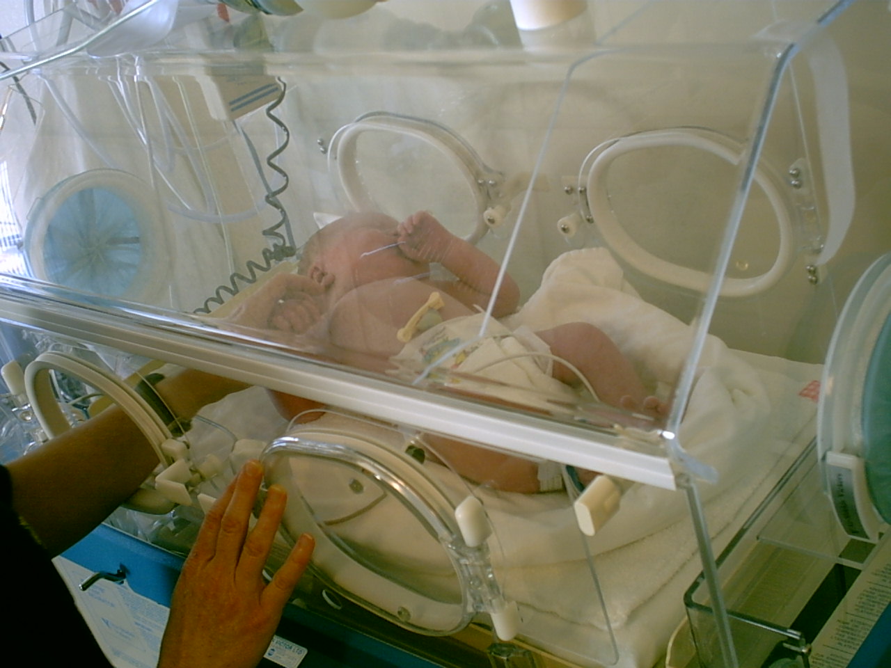 Baby/2003-10-07/incubator.jpg