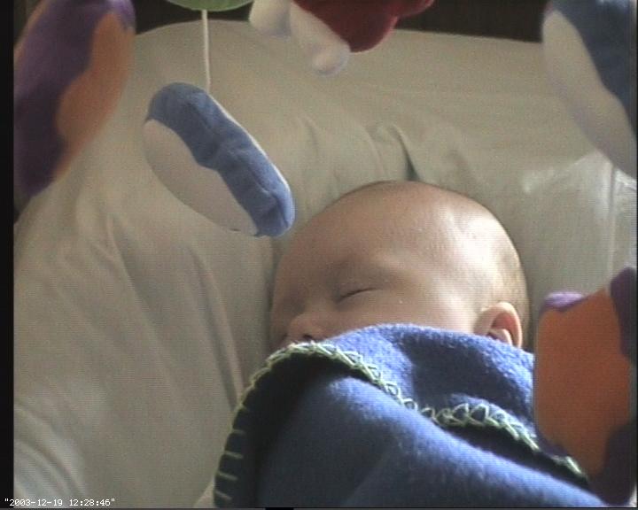 Baby/webcam/20031219-122846.jpg