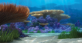 finding-nemo-reef.png